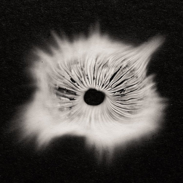 Spore Print Series - Square - 03