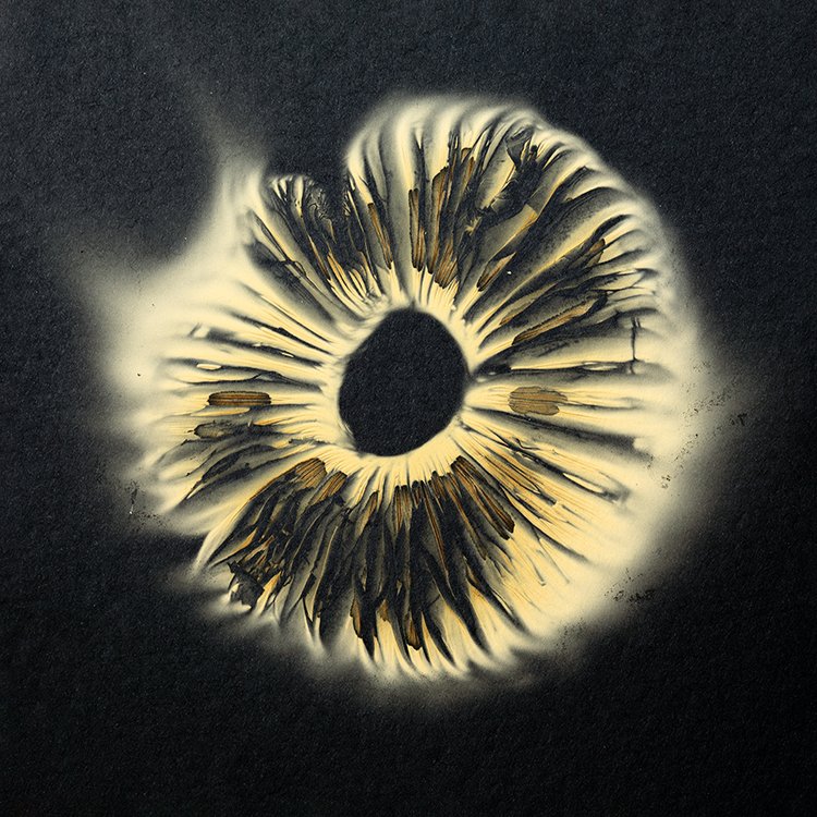 Spore Print Series - Square - 04