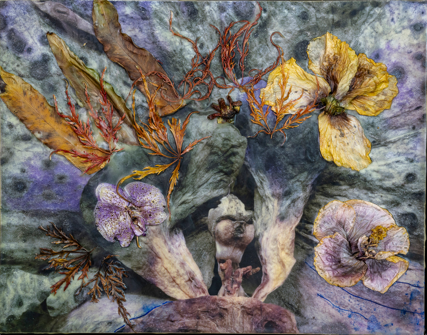 GRANDMA’S GARDEN 1