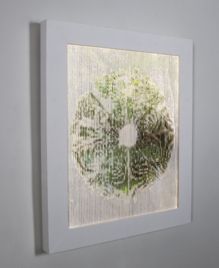 Bog and Spore Print Composite 02