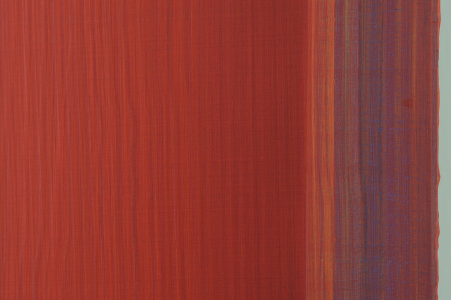 Confusion Trapped #4