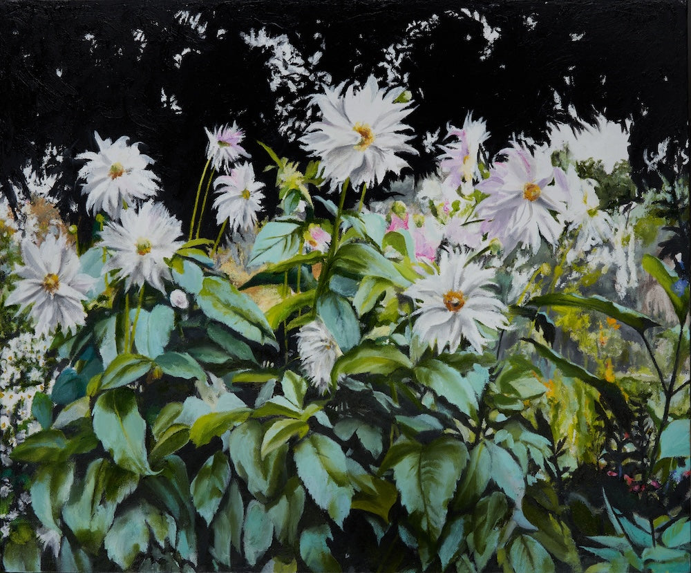 White Dahlias at Giverny