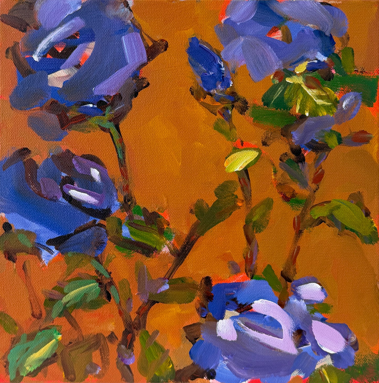 WINDOW BOX CXIV