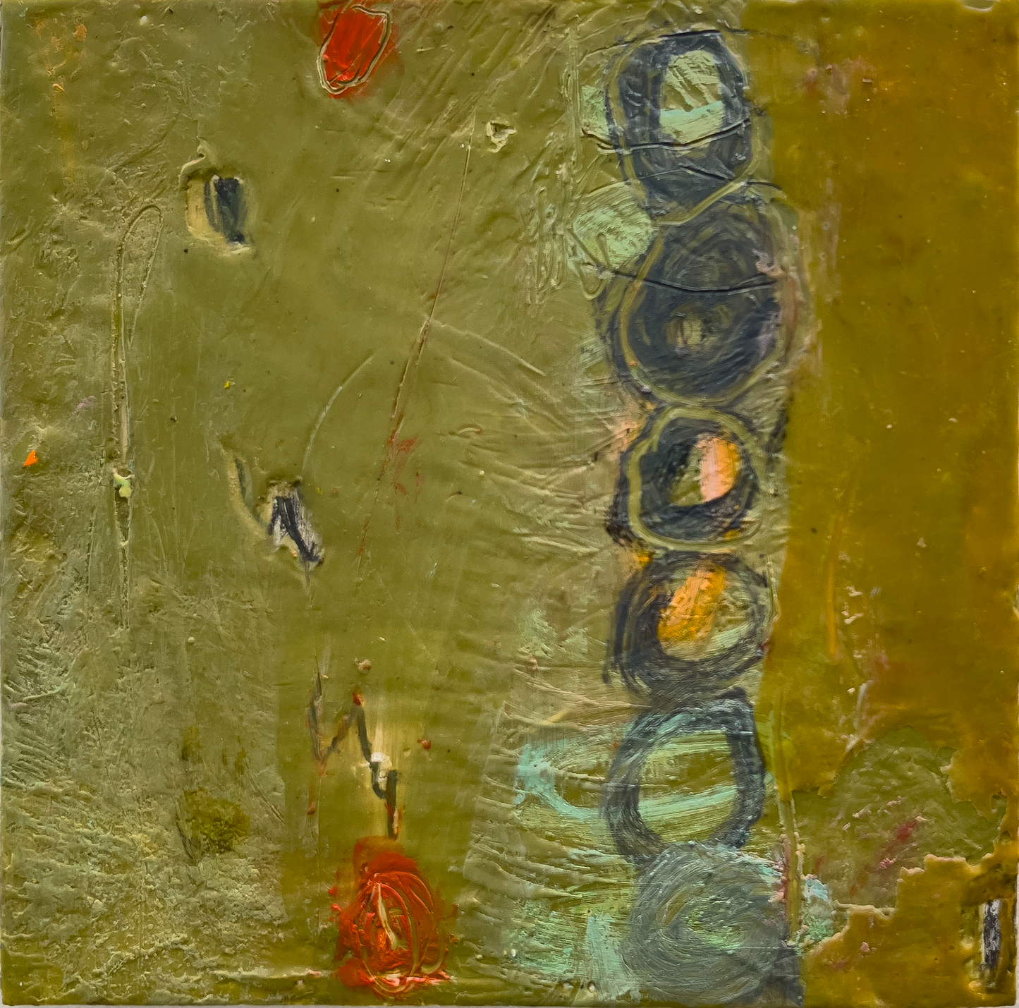 UNDER THE MICROSCOPE 6