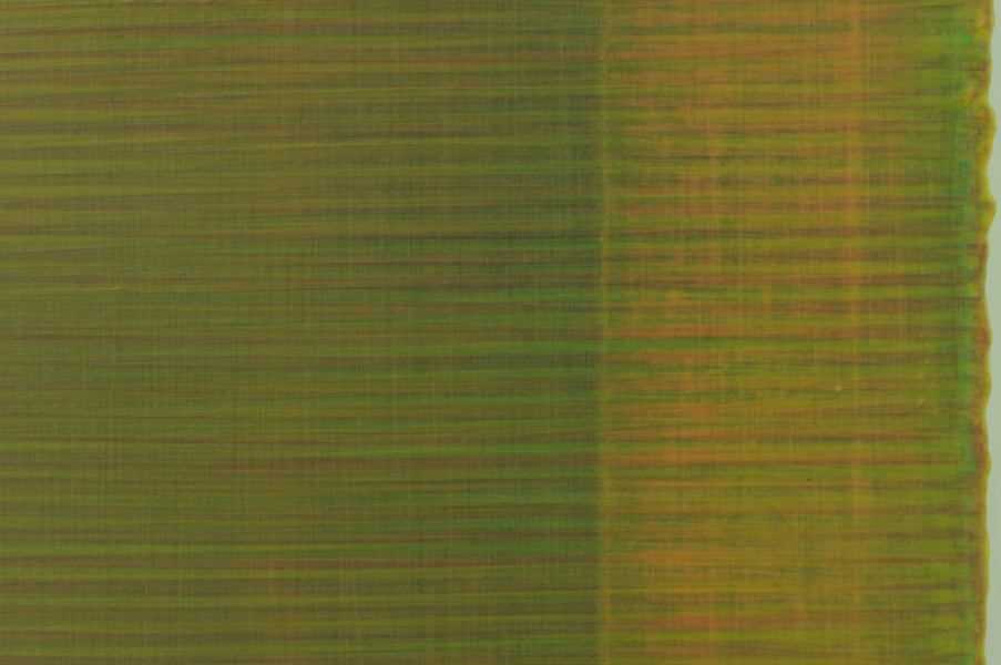 WHEAT FIELD ENVY