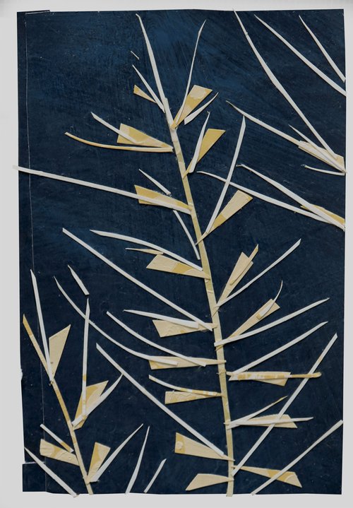 Eastern bottle brush grass