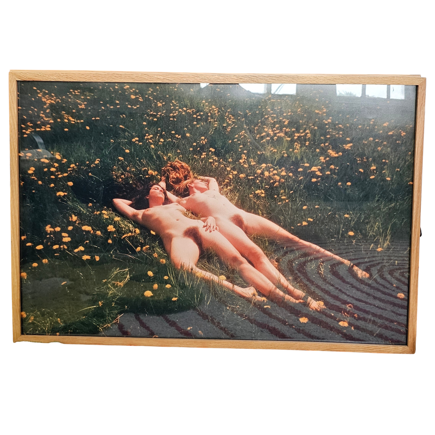 DANDELIONS