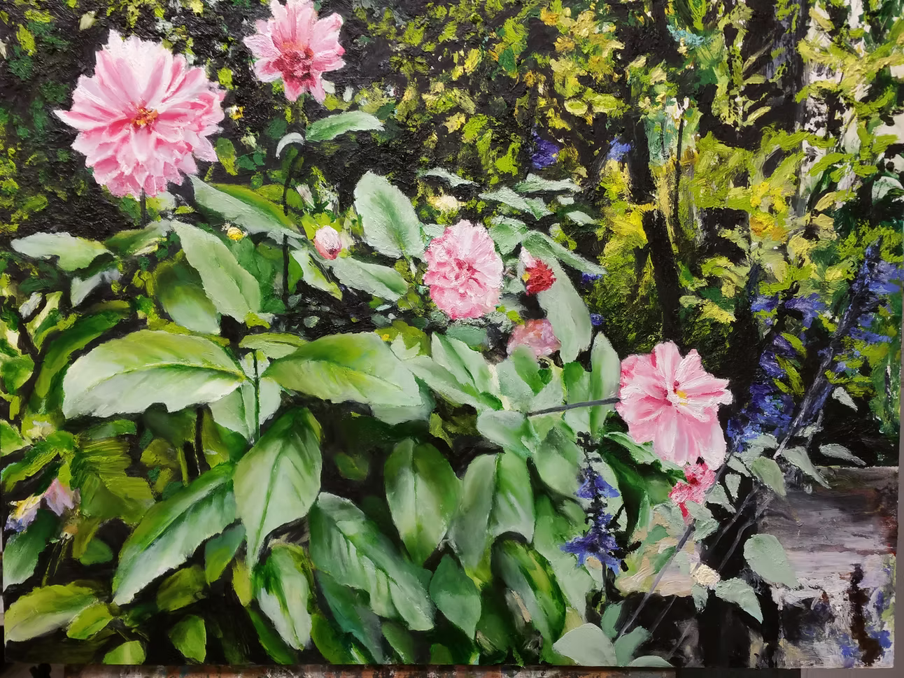 Giverny Pink Dahlias