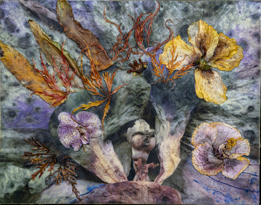 GRANDMA’S GARDEN 1