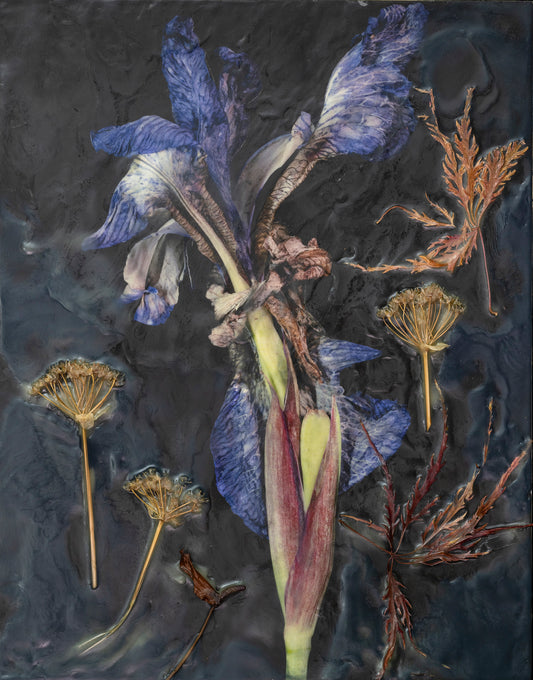 GRANDMA’S GARDEN 3