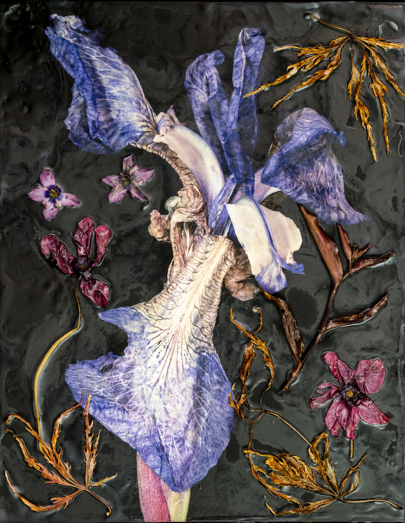 GRANDMA’S GARDEN 4