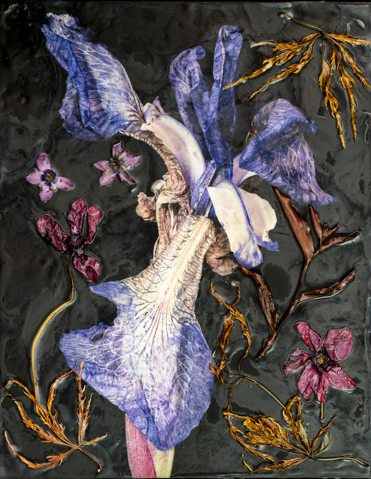 GRANDMA’S GARDEN 4