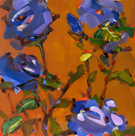 WINDOW BOX CXIV