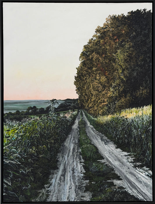 McPherson Road at Dusk