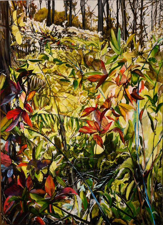 AUTUMN FOREST