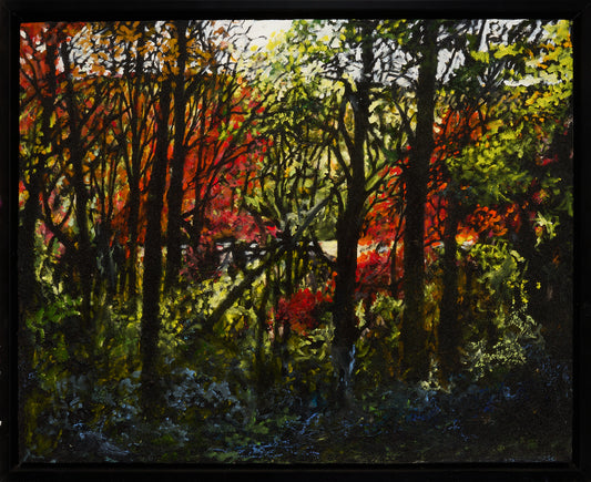 IN THE WOODS