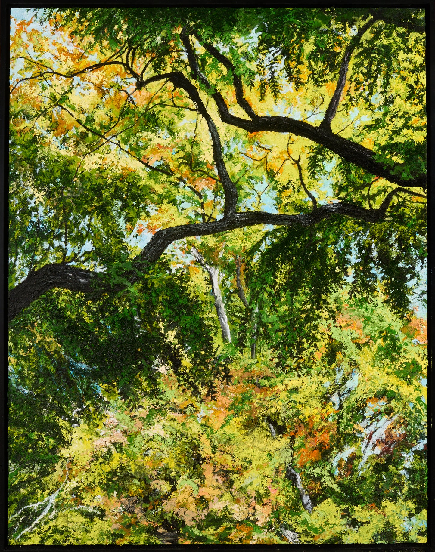 WALNUT AND LINDEN