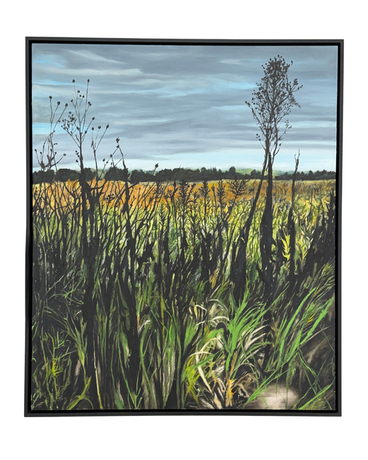 PASTURE