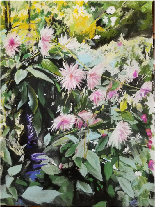 Pink Giverny Dahlias